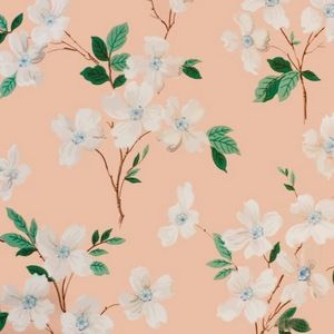 Meet your Posher, Irene